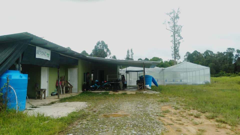 betong-centexs_03