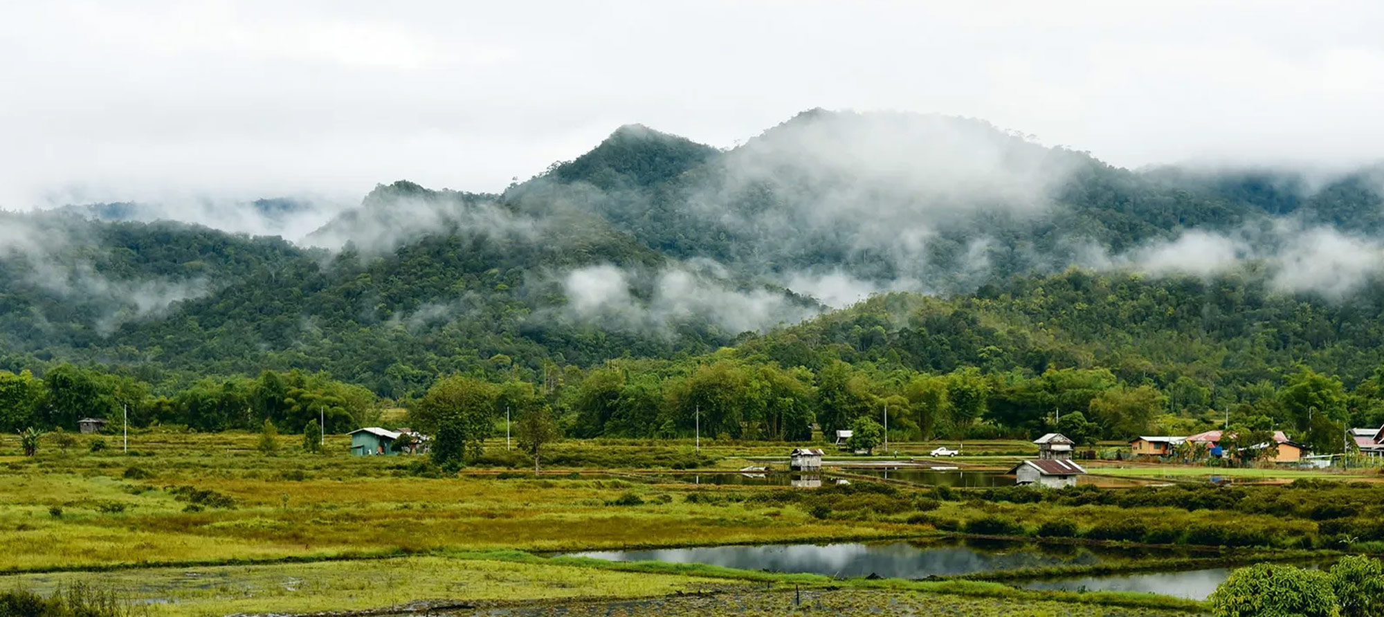 environmental