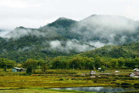 Certificate in Environmental, Social and Governance (ESG) for Enterprise